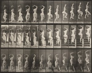 Tafel Nummer 105. Wenden und Treppensteigen, ein Wasserkrug auf der linken Schulter von Eadweard Muybridge