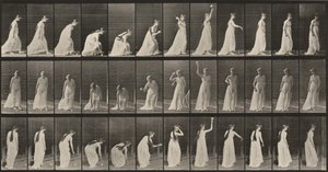 Tafel Nummer 306. Einen Ball aufheben und werfen von Eadweard Muybridge