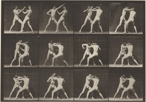 Tafel Nummer 340. Boxen, offene Hand (Schuhe), 1887 von Eadweard Muybridge