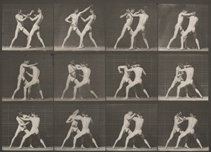 Tafel Nummer 340. Boxen, offene Hand von Eadweard Muybridge