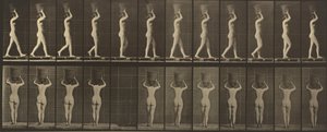 Tafel Nummer 34. Gehen und einen 15-Pfund-Korb auf dem Kopf tragen, Hände erhoben, 1887 von Eadweard Muybridge