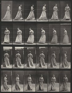 Tafel Nummer 48. Gehen und sich mit einem Blumenstrauß in beiden Händen umdrehen von Eadweard Muybridge