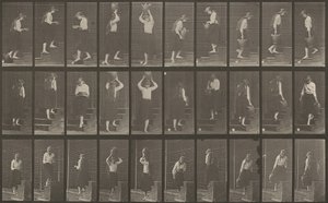 Platte Nummer 504. Auf- und absteigende Treppen von Eadweard Muybridge