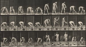 Tafel Nummer 506. Maurerarbeiten, 1887 von Eadweard Muybridge