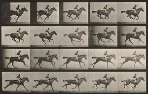 Tafel Nummer 627. "Annie G." im Galopp von Eadweard Muybridge