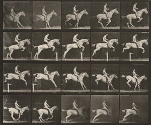 Tafel Nummer 642. "Pandora" springt über ein Hindernis, gesattelt; Reiter nackt von Eadweard Muybridge