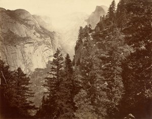 Tenaya Canyon von Union Point, Yosemite-Tal von Eadweard Muybridge