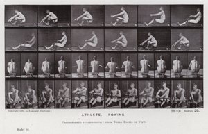 Die menschliche Figur in Bewegung: Athlet, rudernd von Eadweard Muybridge