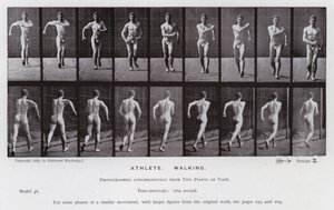 Die menschliche Figur in Bewegung: Athlet, Gehend von Eadweard Muybridge