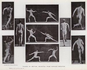 Die menschliche Figur in Bewegung: Phasen der Bewegung, ausgewählt aus verschiedenen Serien von Eadweard Muybridge