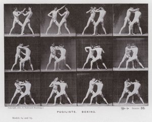 Die menschliche Figur in Bewegung: Boxer von Eadweard Muybridge