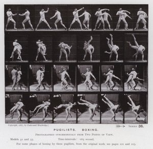 Die menschliche Figur in Bewegung: Boxer, Boxen von Eadweard Muybridge