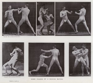 Die menschliche Figur in Bewegung: Einige Phasen eines Boxkampfes von Eadweard Muybridge