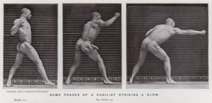 Die menschliche Figur in Bewegung: Einige Phasen eines Faustkämpfers, der einen Schlag ausführt von Eadweard Muybridge