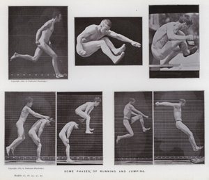 Die menschliche Figur in Bewegung: Einige Phasen des Laufens und Springens von Eadweard Muybridge