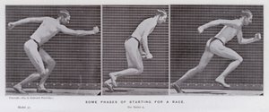 Die menschliche Figur in Bewegung: Einige Phasen des Rennstarts von Eadweard Muybridge