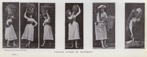 Die menschliche Figur in Bewegung: Verschiedene Bewegungsphasen von Eadweard Muybridge
