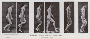 Die menschliche Figur in Bewegung: Gehen unter verschiedenen Bedingungen von Eadweard Muybridge