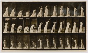 Frau, die einen Ball aufhebt und wirft, aus dem Buch Animal Locomotion von Eadweard Muybridge