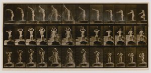 Frau gießt ein Becken Wasser über ihren Kopf, aus dem Buch Animal Locomotion von Eadweard Muybridge