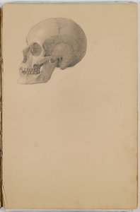 Anatomie-Skizzenbuch, 1849