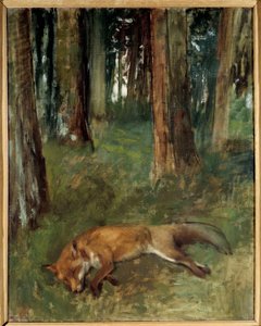 Toter Fuchs im Wald