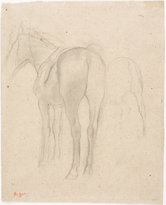 Studien eines Pferdes von Edgar Degas