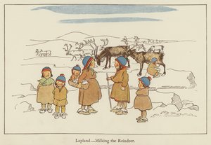 Lappland, das Melken der Rentiere von Edith Farmiloe