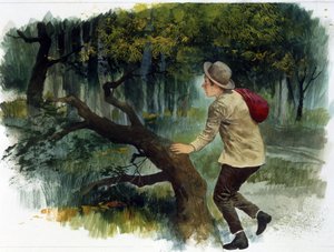 Kinderliteratur: von den Apenninen zu den Anden. Ein Junge allein im Wald (Zeichnung) von Edmondo de Amicis
