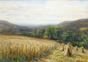 Erntezeit in der Nähe von Ashburton, 1884