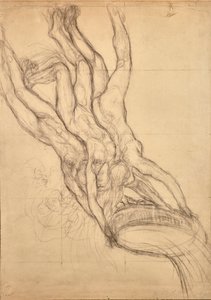 Hyaden, ca. 1914 von Edoardo de Albertis