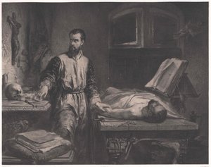 Andreas Vesalius von Edouard Jean Conrad (after) Hamman