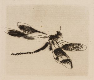 Libelle, Tafel 1 aus Le Fleuve von Édouard Manet