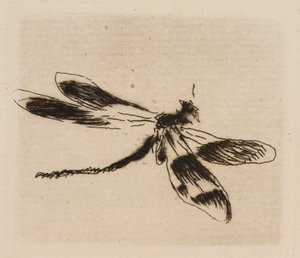 Libelle, Platte 1 aus Le Fleuve von Édouard Manet