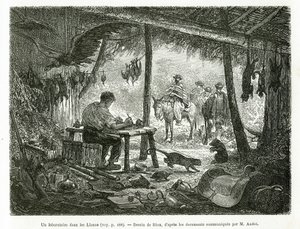Ein Präparationslabor im Urwald, in der Region Llanos (Kolumbien), Zeichnung von Riou, zur Illustration der Geschichte von Equinoxiale America (Kolumbien, Ecuador, Peru), 1875-1876, von Ed. Andre, Reisemission beauftragt von der französischen Regierung. Gr von Edouard Riou