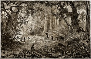 Installation eines Forscherlagers in Guatemala (1882)