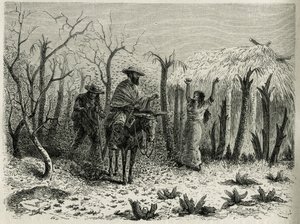 Die Heuschreckenschwärme des oberen Patia-Tals, mit dem Erzähler der Reise auf seinem Maultier, Gravur von Riou, um die Geschichte L