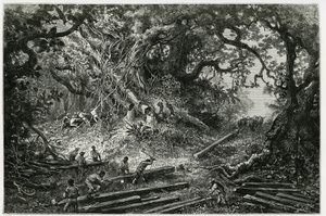 Die Ausbeutung von Mahagoni in den Wäldern der Anden. Gravur von Riou, zur Illustration der Geschichte „Reise nach Yucatan und das Land der Lacandons“, 1882, von Désiré Charnay (1828-1915), Archäologe und Fotograf. Veröffentlicht in der Tour du monde. von Edouard Riou