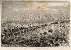 Das Schleppen eines Dampfers durch die Vegetationsflöße, die den Hohlkanal überwuchern, um einen Sumpf zu verlassen, geätzt nach einer Zeichnung von E. Riou, zur Illustration einer bewaffneten Expedition in Zentralafrika, zur Unterdrückung des Schwarzhande