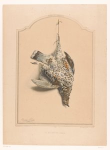 Totes weibliches Haselhuhn, an einem Bein hängend von Edouard Travies