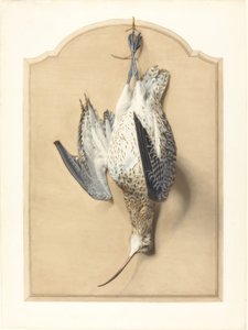 Trompe l’Oeil: Ein Brachvogel an einem Nagel hängend von Edouard Travies