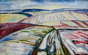 Feld im Schnee