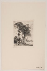 Landschaft. Kühe bei einem Wald