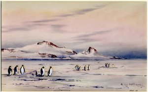 Die Entdeckung Winterquartiere, ca. 1901-04 von Edward Adrian Wilson