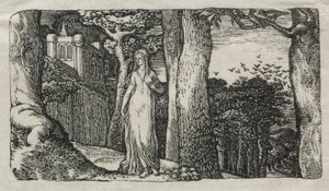 Die Dame und die Krähen