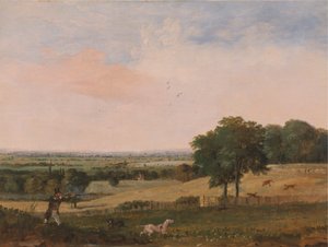 Rebhuhnjagd von Edward Duncan