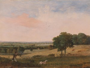 Rebhuhnjagd von Edward Duncan