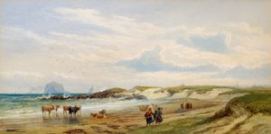 Der Bass Rock von Edward Duncan
