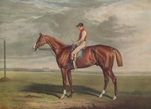 Velocipede, Gewinner des St. Leger