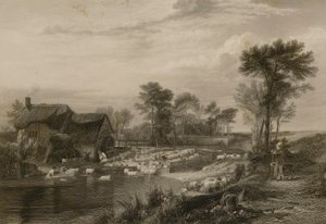 Schafwäsche von Edward Finden